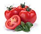 Томат Дебют F1, крупноплідний, 100 шт (Leda Agro), фото 3