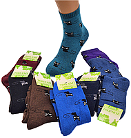 Жіночі махрові шкарпетки Топ-Тап - 21.00 грн./пара (котики)