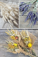 Матеріали для флористів та творчості, натуральний декор та віночки із сухоцвітів