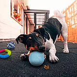 Набір іграшок для собак розвиваючі 17в1 Канат з м'ячем жувальні іграшки для цуценят дрібних і великих порід, фото 10