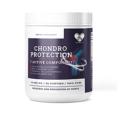 Колаген глюкозамін хондроїтин мсм гіалуронова кислота для суглобів Chondro Active 5 En`vie Lab у порошку хондропротектор комплек 3
