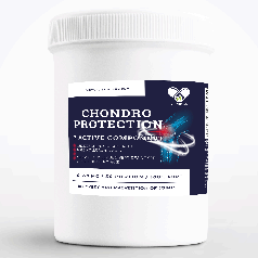 Колаген 2 типу глюкозамін хондроітин мсм гіалуронова кислота для суглобів Chondro Active 5 En`vie Lab в порошку хондропротектор