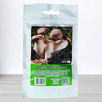 Міцелій грибу Глива королівська, 50г
