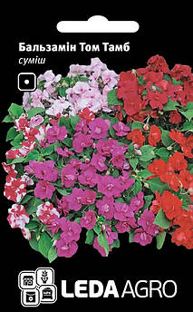 Бальзамін Тому Тамб, махровий, суміш 0,5 г (Led Agro)