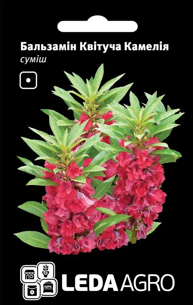 Бальзамін Квітуча Камелія, суміш, 0,5 г (Leda Agro), фото 1