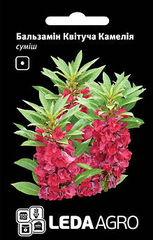 Бальзамін Квітуча Камелія, суміш, 0,5 г (Leda Agro)