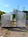 Теплиця Мітлайдер 3х8 преміум 4 мм, фото 2