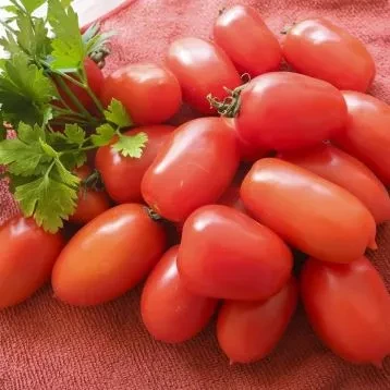 Помідор чері Брісколіно F1 United genetics 50 шт (детермінантний) (зіп-пакет), фото 1