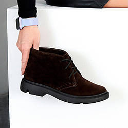 Модні практичні низькі черевики натуральна замша колір Шоколад
