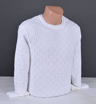 Чоловічий джемпер білий | Чоловічий светр Туреччина 9358