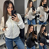 Жіночі демісезонні куртки 039-ді Трендова модна жіноча вітровка бомбер