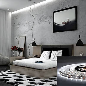 Світлодіодна стрічка OEM ST-12-5050-60-CW-20-V2 біла, негерметична, 1м, фото 1