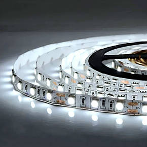 Світлодіодна стрічка OEM ST-12-5050-60-CW-20-V2 біла, негерметична, 1м, фото 2