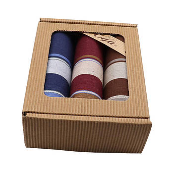 Чоловічі носові хустки в наборі EGA СН-796/3 3 шт.