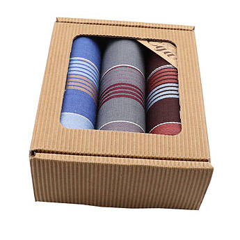 Подарунковий набір носових хусток для чоловіків EGA СН-796/3 3 шт.