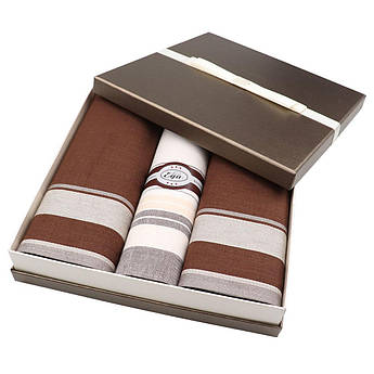 Набір чоловічих носових хусток в коробці EGA CH-753/3 С 3 шт