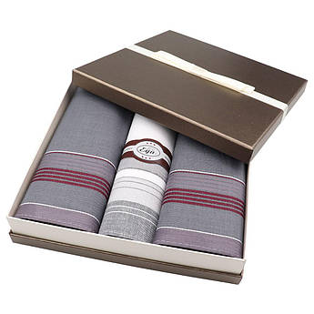 Набір бавовняних чоловічих носових хусток EGA CH-753/3 С 3 шт