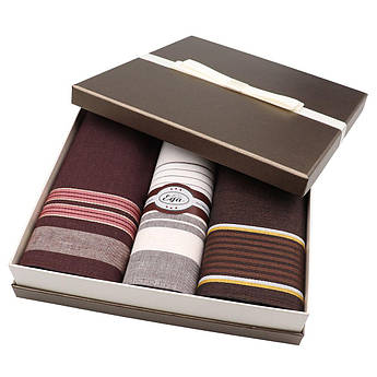 Набір коричневих чоловічих носових хусток EGA CH-753/3 С 3 шт