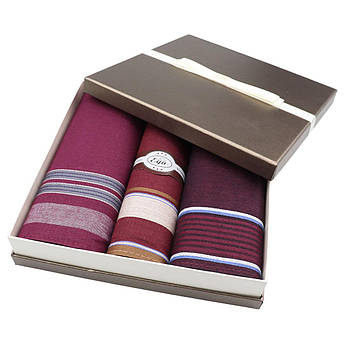 Бордові чоловічі носові хустки EGA СН-753/3 3 шт.