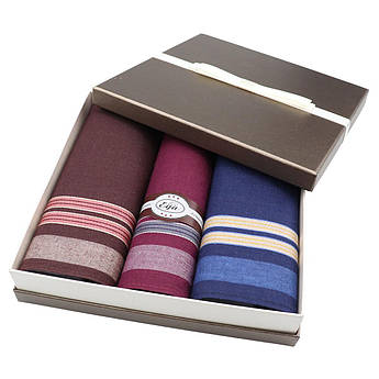 Подарунковий набір комбінованих чоловічих носових хусток EGA СН-753/3 3 шт.