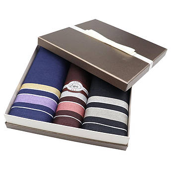 Набір чоловічих носових хусток EGA СН-753/3 3 шт.