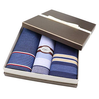 Подарунковий набір чоловічих носових хусток EGA СН-753/3 3 шт.