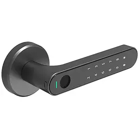 Розумний замок для міжкімнатних дверей Xiaomi Arkfish Smart Lock S5 Pro (Magnetic Version) Black