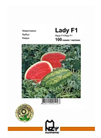 Насіння кавуна Леді F1, 100н