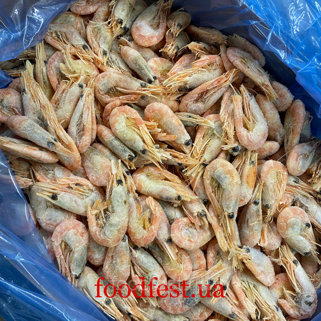 Креветка пивна, 1 кг, фото 1