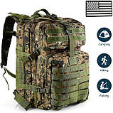 BattleMOLLE 50 — військовий рюкзак із модульною системою, фото 3