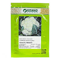 Капуста цвітна Ванза F1 (KS 35) / VANZA F1 (KS 35) Kitano Seeds 2500 шт