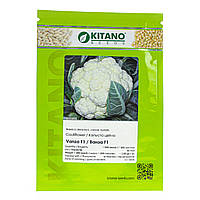 Капуста цвітна Ванза F1 (KS 35) / VANZA F1 (KS 35) Kitano Seeds 1000 шт