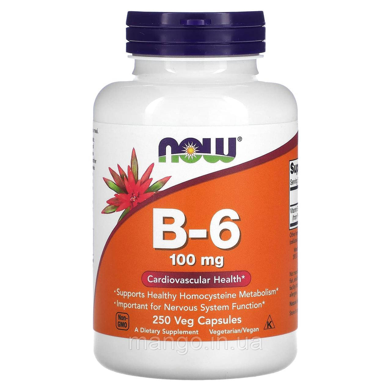 Вітамін В6, Vitamin B-6, Now Foods, 100 мг, 250 вегетаріанських капсул, фото 1