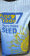 Насіння соняшника Каскара (Стандарт 8 кг) Стійкий до вовчка 6 рас (A–F) Врожай 2025