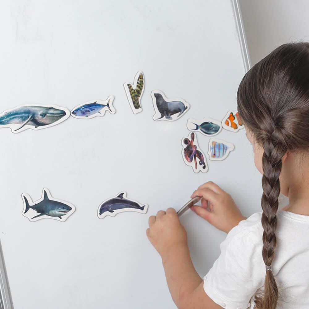 Product image preview