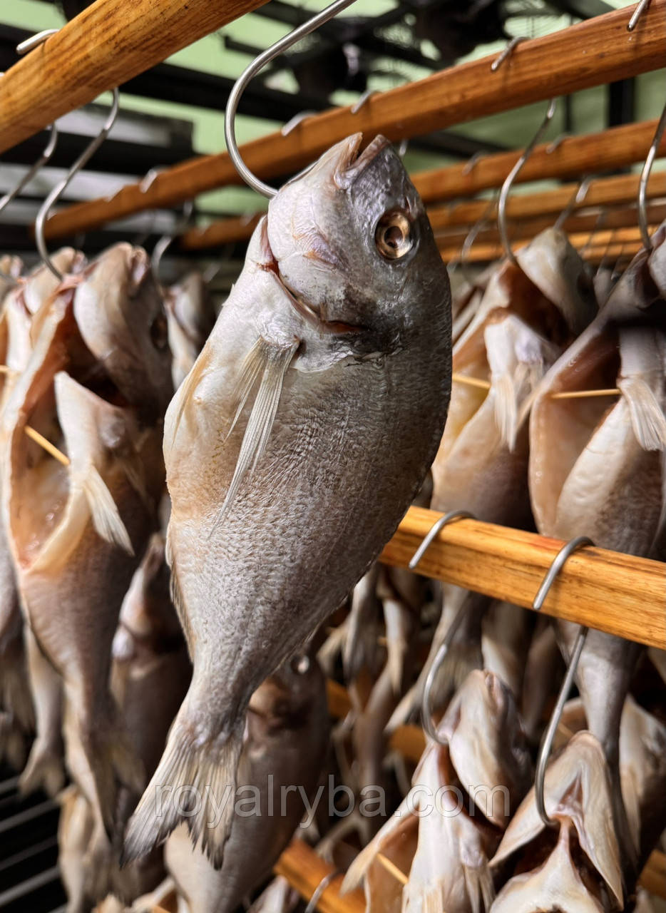 Дорадо в'ялена патрана 500 грам упаковка. В'ялена риба., фото 1