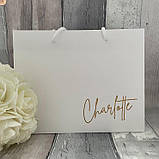 Пакет місткий з білим шнурком і лого розміром 40×30×12 см Крейдований ламінований матовий папір, фото 7