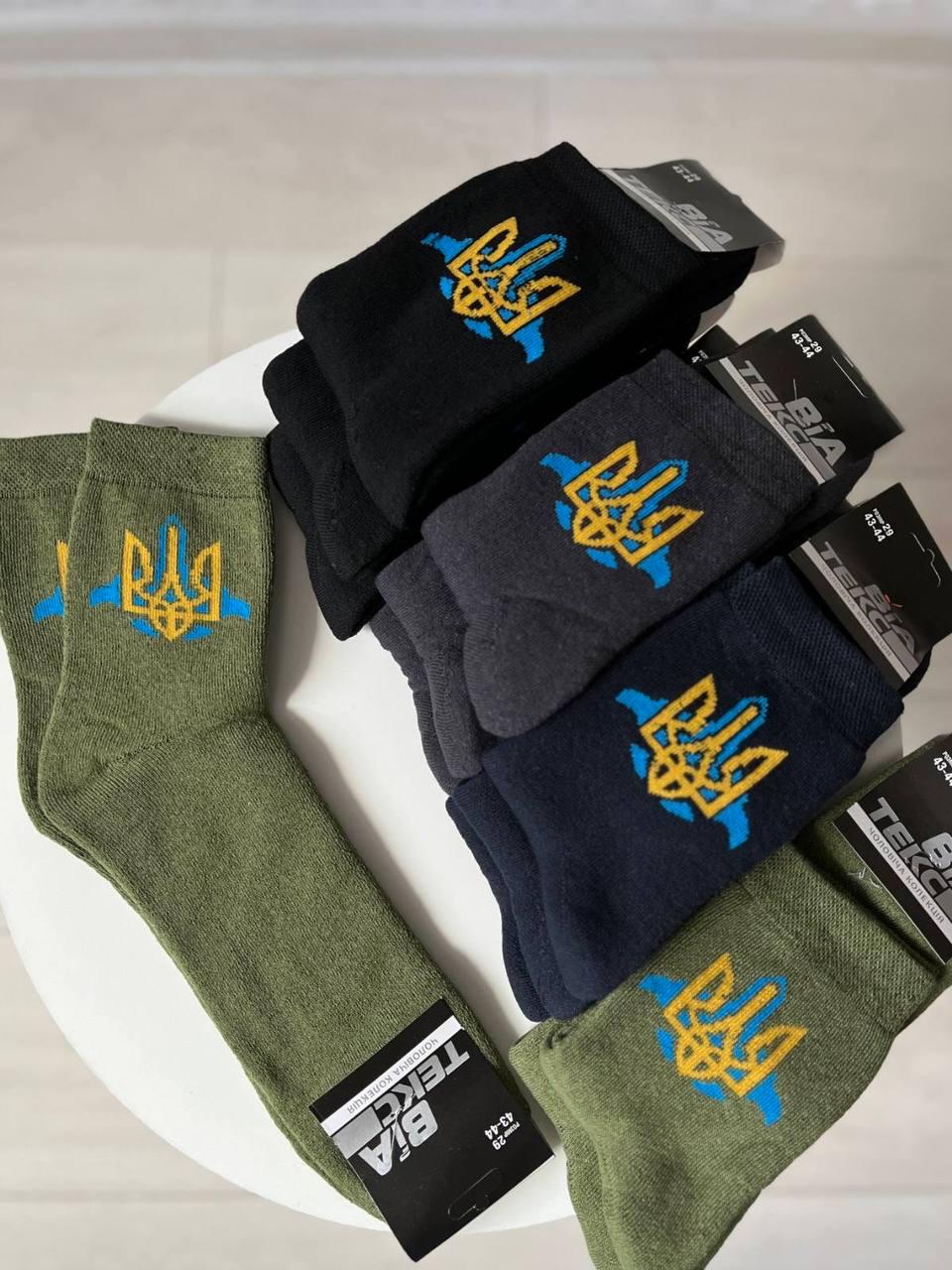 Шкарпетки чоловічі 12 пар зимові махрові ТМ "ВиАтекс" розмір 27 (41-43) літак-тризуб