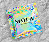 Голографічний Зіп-пакет 20х25 см 100 мкм з логотипом оптом для вашої успішної реклами, фото 4