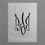 Поліетиленові Зіп-пакети струна матові 30х40 см Виробництво упаковки з логотипом оптом, фото 6