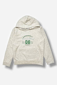 Світшот дитячий для хлопчика на флісі сірого кольору 205998P