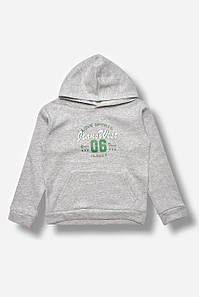 Світшот дитячий для хлопчика на флісі сірого кольору 205999P