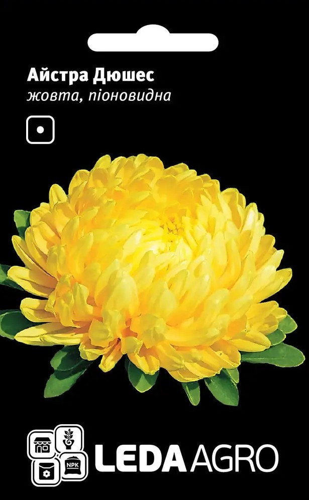 Айстра Дюшес, жовта, піоновидна 0,2 г (Leda Agro), фото 1