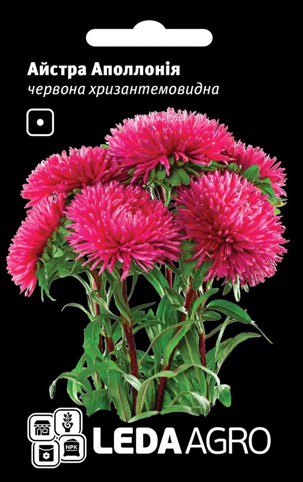 Айстра Аполлонія, червона, хризантемовидна 0,2 г (Leda Agro), фото 1
