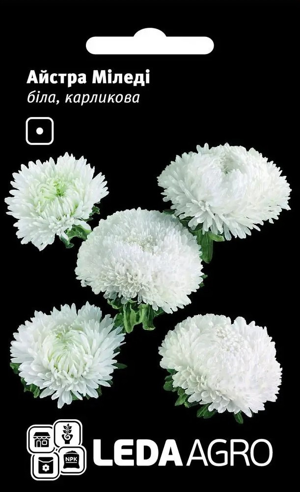 Міледі, біла, айстра карликова 0,2 г (Leda Agro), фото 1
