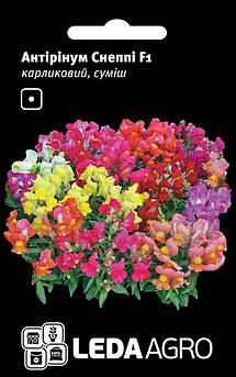 Снеппі F1, суміш, антірінум карликовий 10 шт (Leda Agro)