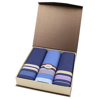 Сині чоловічі носові хустки EGA СН-630/3 3 шт.