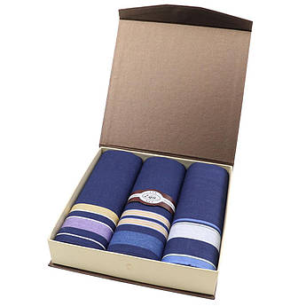 Набір чоловічих носових хусток у синьому тоні EGA СН-630/3 3 шт.