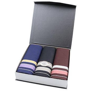 Набір темних чоловічих носових хусток EGA CH-630/3 С 3 шт