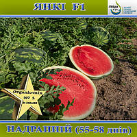 Кавун ультра-ранній Янкі F1 (55 днів), ТМ Libra Seeds, 1000 насінин
